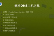 网络DNS异常修复技巧大揭秘（解密网络DNS异常修复的实用技巧）