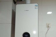 Bosch热水器显示E9故障代码解决方法详解（故障维修指南）