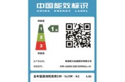 Win10无法打开网页的解决方法（通过调整网络设置解决Win10上QQ能上但不能上网页的问题）