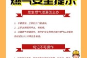 如何避免和解决阿里斯顿壁挂炉爆炸问题（保障家庭安全的关键措施与应对方案）