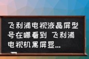 老式电视机黑屏问题分析与解决方法（探索老式电视机黑屏的原因及如何解决）