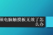 如何解决电脑小白不会玩的问题（掌握关键技巧）