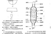 自制创意净水器的方法（用简单的材料制作高效净水器）