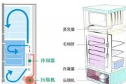 告别异味，教你如何保持冰箱清新宜人（冰箱清洁方法大公开）