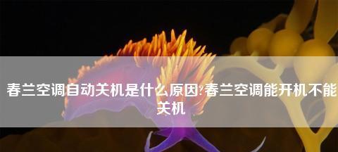 为什么空调会自动关机（探究空调自动关机的原因和解决方法）