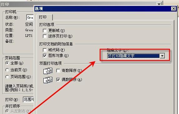 解决打印机出现空白字问题的方法（常见原因及解决方案）