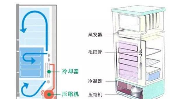 告别异味，教你如何保持冰箱清新宜人（冰箱清洁方法大公开）